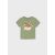 Mayoral Fiú, mintás pamut póló - Sage - Zsálya